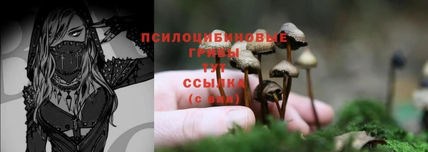 мяу мяу кристалл Пролетарск