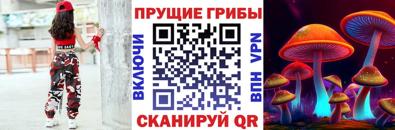магазин  наркотиков  мориарти телеграм  Псилоцибиновые грибы прущие грибы  Армянск 